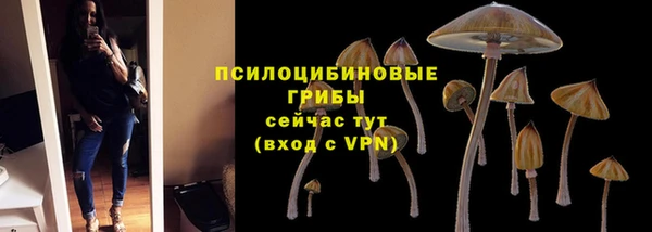 MDMA Premium VHQ Михайловка