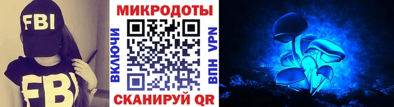 дарнет шоп  Грозный  Галлюциногенные грибы мухоморы 