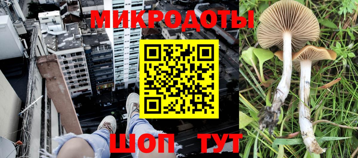 Псилоцибиновые грибы ЛСД  Грозный 