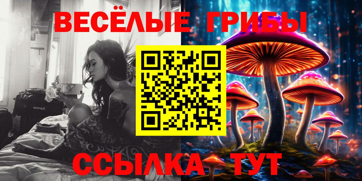 Галлюциногенные грибы мухоморы  Вход с VPN  Грозный 