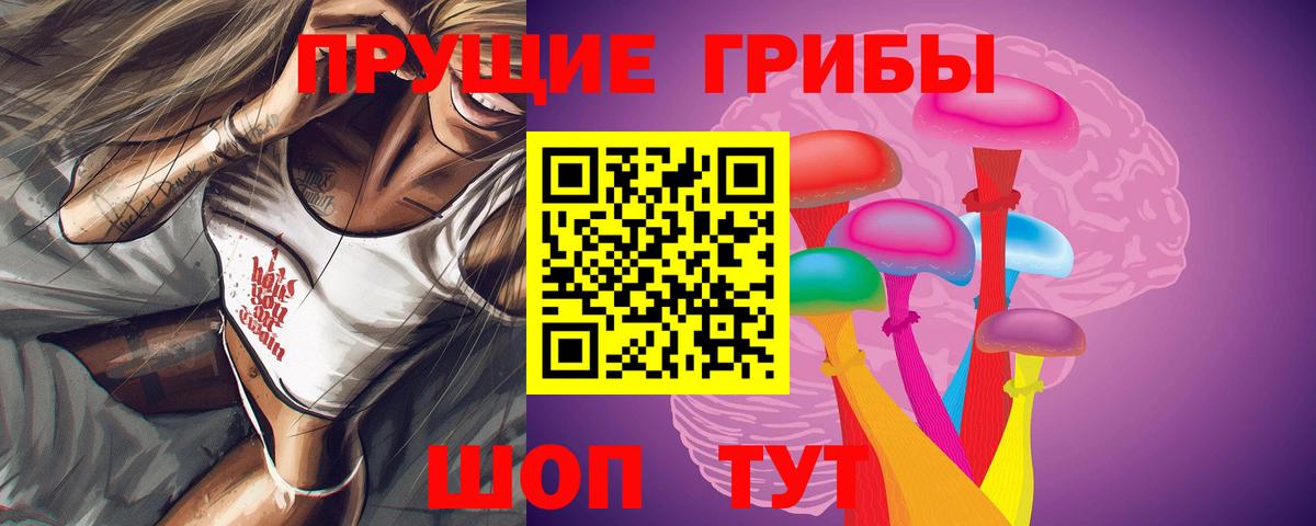 Псилоцибиновые грибы Cubensis Грозный