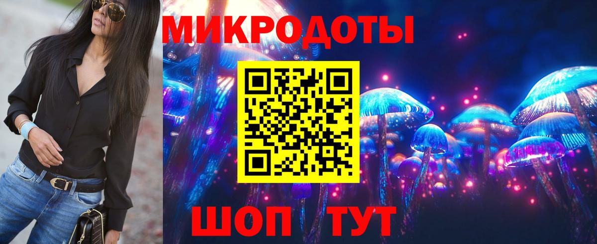 Псилоцибиновые грибы мицелий Грозный