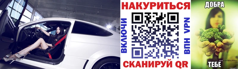 hydra ссылка  цена наркотик  Грозный  Марихуана сатива 